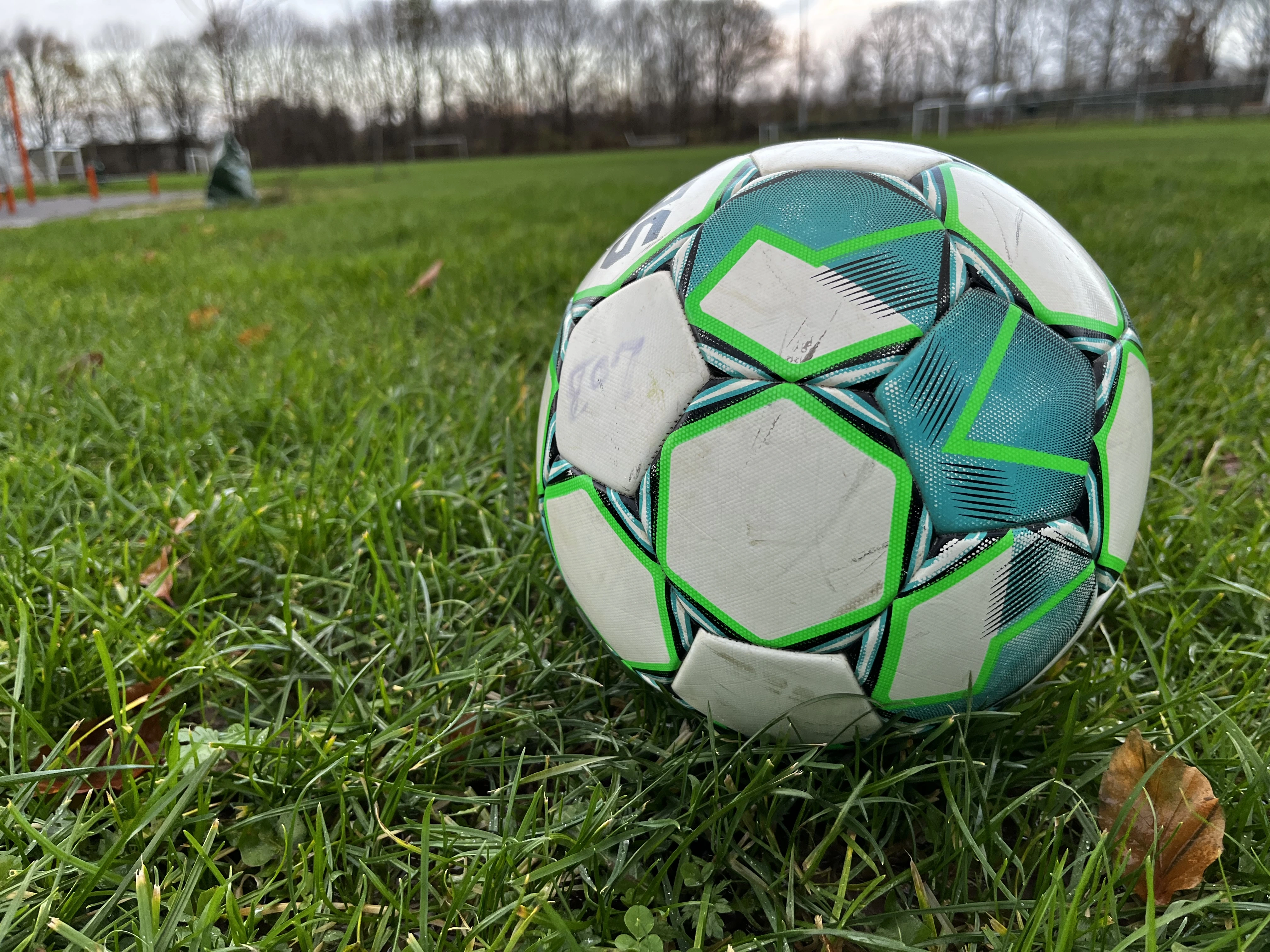 Udendørs fodboldbane, bold på græs hos Lind Old Boys